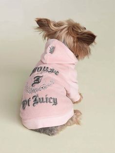 a small dog is wearing a pink shirt