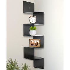 a corner shelf with a clock on the wall next to a potted plant and framed photograph