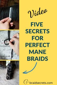 four pictures with the words video five secrets for perfect mane braids