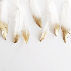 three white and gold feathers on a white surface