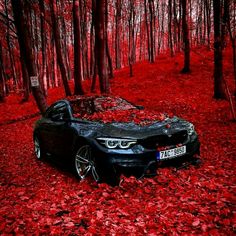 a black car parked in the middle of a forest with red leaves on the ground