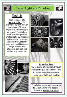 a poster with pictures and text describing the process of photographing flowers in black and white