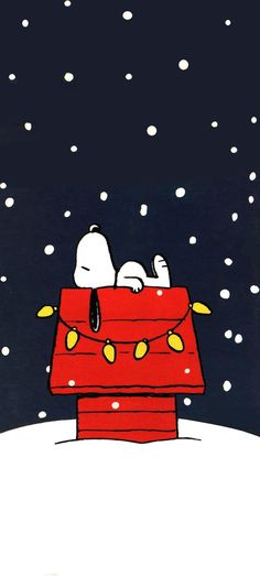 a snoopy dog is sitting on top of a red box in the snow at night