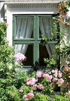 an open window with green shutters and pink flowers in the foreground, next to shrubbery