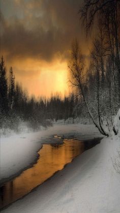 a river running through a snow covered forest