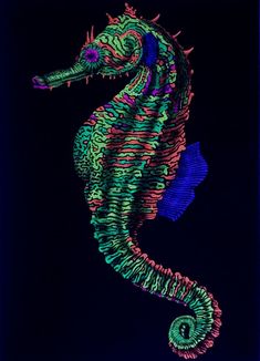 a colorful sea horse on a black background