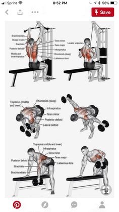 an image of a man doing bench presss on his chest and back, with the caption above it