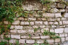 an old brick wall with moss growing on it stock images and royalty photos for commercial use