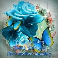 a blue rose with butterflies on it and the words good morning thank you lord for another monday