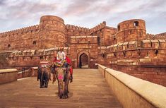 two people riding on the backs of elephants in front of an old brick castle like building