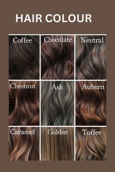 Hair Colour Women Highlights, Hair Color With Names Colour, Hair Colour Name Chart, Hair Colour Idea For Brown Skin, Highlight Colour For Black Hair, Types Of Hair Colour Style, Brown Hair Color Names, Brown Skin Hair Colour Ideas, Hair Colour According To Skin Tone