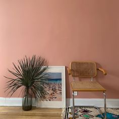 a chair sitting next to a pink wall with a palm tree in it and a potted plant on the floor