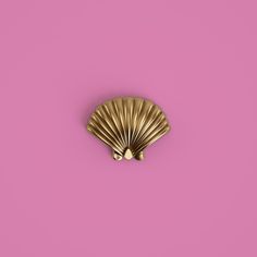 a gold scallop on a pink background