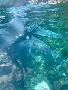 the water is very clear and blue in this photo, it looks like they are floating on