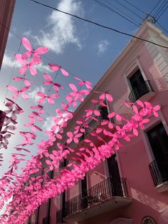 pink paper flowers hanging from the side of a building