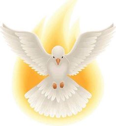 a white dove with its wings spread in front of an orange and yellow sun background