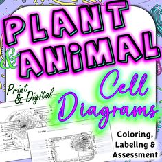 the plant and animal cell diagrams coloring, labelling & assemotment for kids