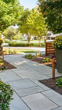 the walkway is lined with potted plants and wooden benches in front of some trees