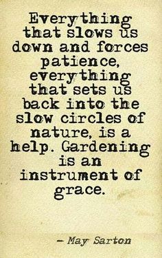 a quote from may sarton about gardening