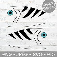 two black and white striped fish with blue eyes on wooden planks, in front of a