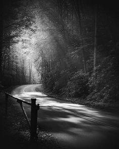 a black and white photo of a road in the woods