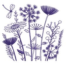 an ink drawing of wildflowers and dragonflies