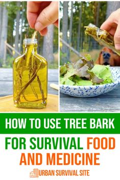 How to Use Tree Bark for Survival Food and Medicine Shtf Preparedness, Survival Items, Survival Skills Life Hacks, Food Medicine, Slippery Elm