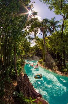 people are tubling down the river in an artificial pool surrounded by palm trees and greenery