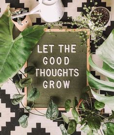 a sign that says let the good thoughts grow on it next to plants and potted plants