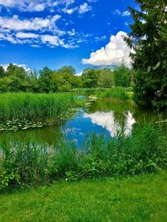 a pond surrounded by lush green grass and trees with clouds in the sky above it