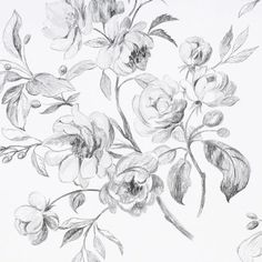 a pencil drawing of some flowers on a white background