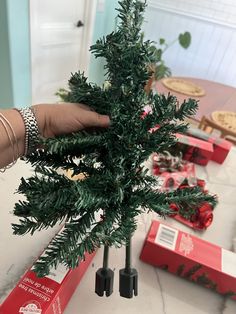 a person holding a small christmas tree in front of some presents on a table with red boxes