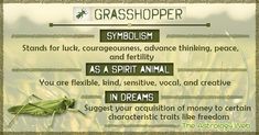 the grasshopper is an insect that can be seen in many different ways