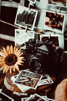 image Fotocamere Vintage, Camera Wallpaper, Camera Art, Statement Art, Wallpaper Vintage, Photography Wallpaper, Vintage Cameras, Aesthetic Images