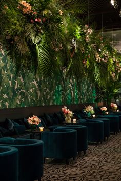 a room filled with lots of green couches and plants hanging from the ceiling above them