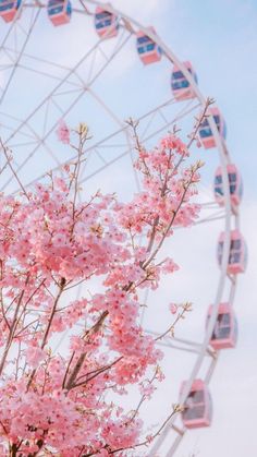 a ferris wheel with pink flowers in the foreground and a blue sky behind it