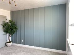 an empty room with a potted plant in the corner and painted gray paneling on the walls