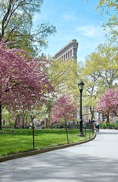 the trees are blooming all over the park and walkways in front of the building