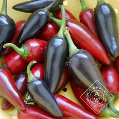 red and black peppers in a yellow bowl