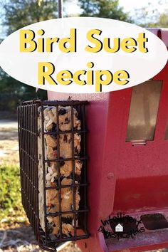 the bird suet recipe is ready to be eaten