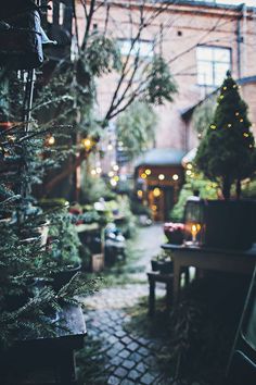 an alley way with christmas trees and lights