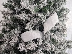 an overhead view of a snow covered tree with two pieces of paper stuck in it