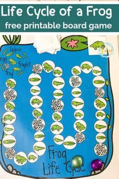 a life cycle of a frog printable board game