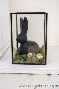 a glass box with an animal in it sitting on a shelf next to some eggs