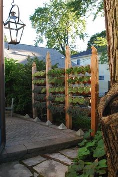 an outdoor garden with trees and plants growing on the side of it's fence