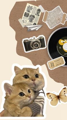 there is a cat that is holding a kitten in front of a record and other items