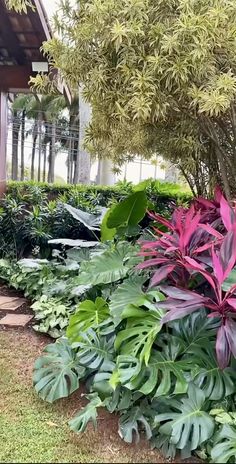 many different types of plants in a garden