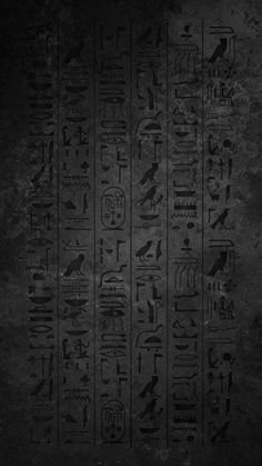 an ancient egyptian hierogram with birds and other symbols on it's side