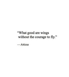 an image with the quote what good are wings without the courage to fly