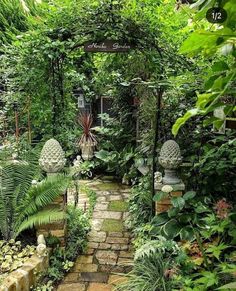 an outdoor garden with lots of greenery and stone steps leading up to the door